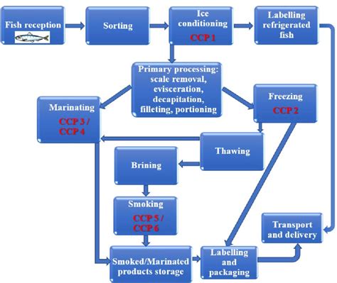 Production Flow Diagram Of Deltaica Seafood Frozen Marinated And