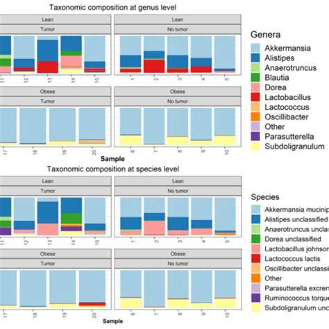 Metagenomics Analysis Of Taxonomic Composition At The Genus And Species