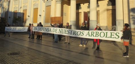 Guelaya Y El Movimiento Por El Arbolado Piden Que La Fiscal A