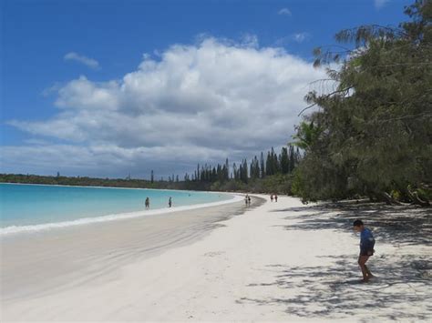 Kuto Bay Ile Des Pins Updated 2019 All You Need To Know Before You