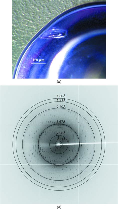 Iucr Cloning Purification Crystallization And Preliminary X Ray