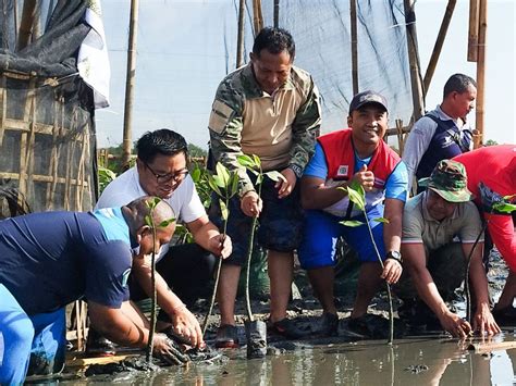 Ajak Masyarakat Lestarikan Hutan Mangrove Wawali Arya Wibawa Bersama