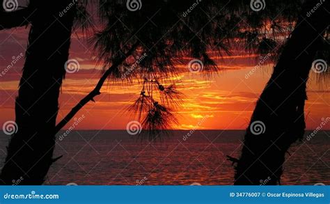 Sunset. Madagascar stock image. Image of background, holidays - 34776007