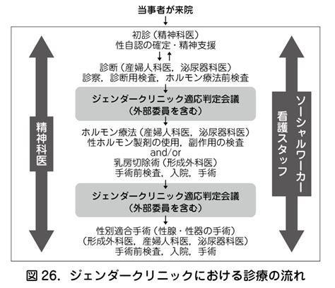 （2）性同一性障害の診療の流れ 日本産婦人科医会