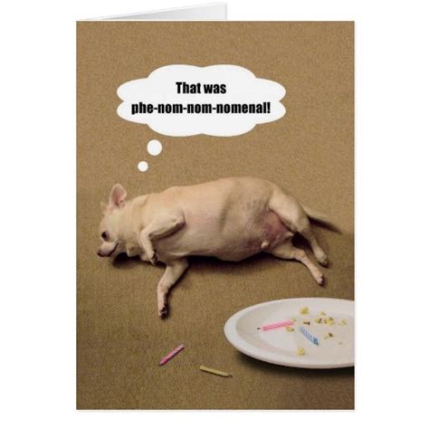 Happy Birthday Chubby Chihuahua Greeting Card Zazzle