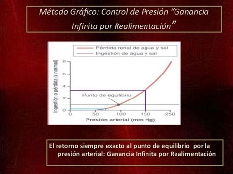 Control Presión Arterial A Largo Plazo Capítulo 19 Guyton Dr Joh