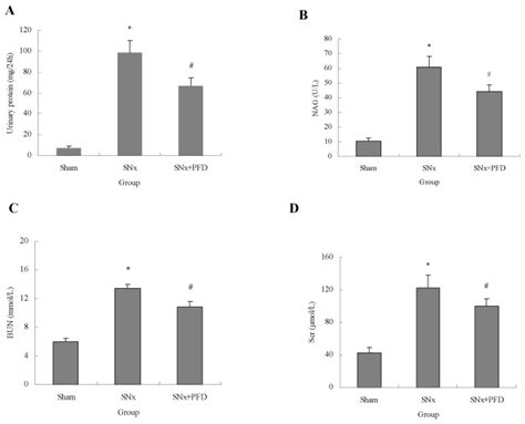 Urinary Protein Excretion A Nag Activity B Blood Urea Nitrogen