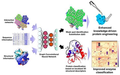 Machine learning methods for enzyme engineering and discovery