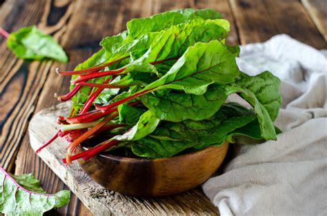 Листовая свекла мангольд: неприхотливое растение с необычным вкусом и ...
