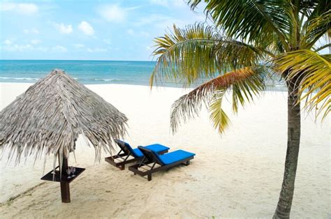 Premium Photo Thatched Roof And Lounge Chairs At Beach During Summer