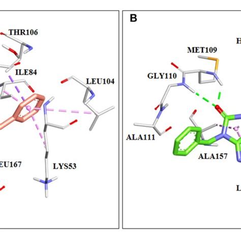 The Crystal Structure Of Imatinib Bound Form Of The Abl Kinase Pdb Download Scientific