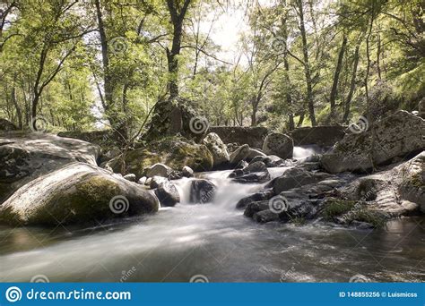 Silkeslen Vattenfall Av En Flod I Hj Rtan Av En Skog Arkivfoto Bild