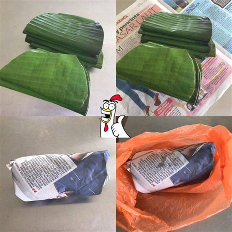 Petua Simpan Daun Pisang Agar Kekal Segar Tahan Lebih Seminggu