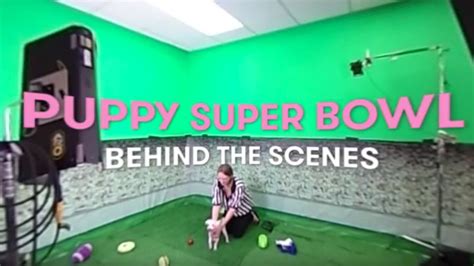 PUPPY BOWL: Behind the Scenes 360 - YouTube