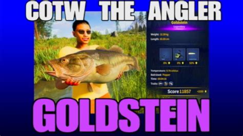 COTW THE ANGLER GOLDSTEIN PEZ LEGENDARIO UBICACION y EQUIPO CAÑA