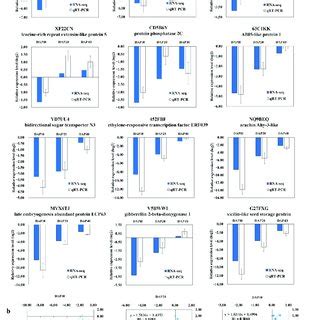 Verification Of Degs By Qrt Pcr In Seeds A Verification Of Degs