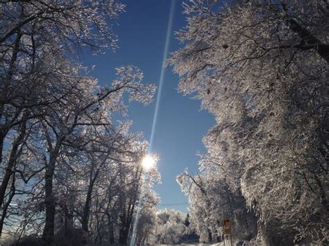 Michigan after Ice storm. | Pretty pictures, Picture, Ice storm