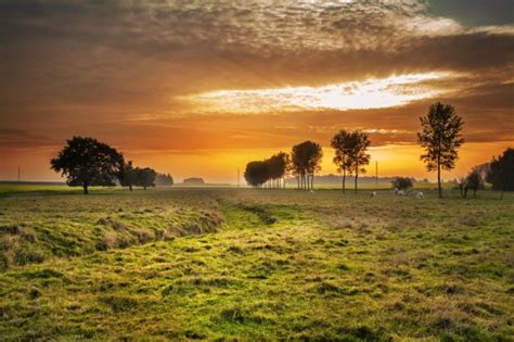 paysage campagne rural coucher de soleil bibliothèque banque d