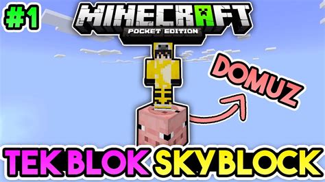 YARATIK KUTULARI Minecraft PE Tek Blok Skyblock Canavar Bloklu