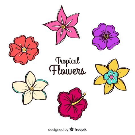 Set De Flores Dibujadas A Mano Vector Gratis