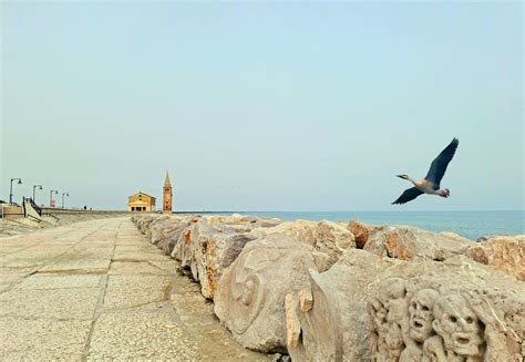 beach promenade sea  photo  pixabay pixabay