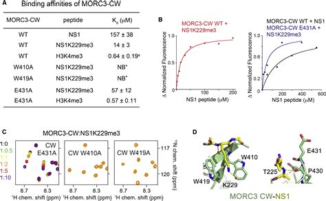 Morc Is A Target Of The Influenza A Viral Protein Ns Structure