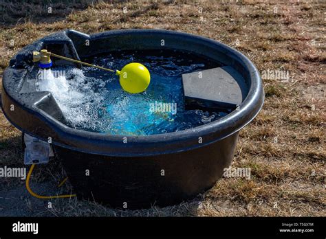 Farm Water Trough Hi Res Stock Photography And Images Alamy