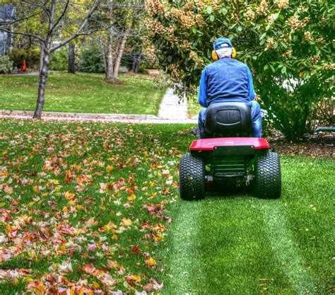 Mulching Autumn Leaves Free Stock Photo - Public Domain Pictures
