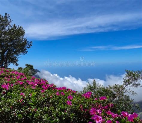 Travel Photography - Caracas, Venezuela. Stock Photo - Image of weather ...