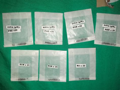 Fresh delivery from San Pedro Mastery : r/sanpedrocactus