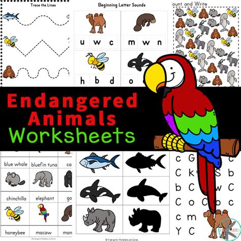 biomes coloring pages  kids