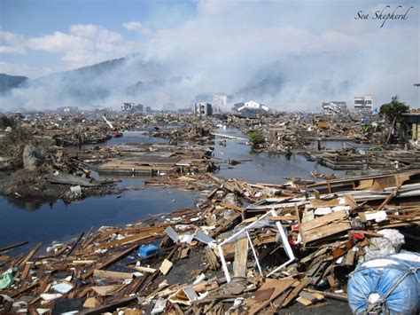 Edmonds man escapes tsunami that devastates Japanese city - My Edmonds News