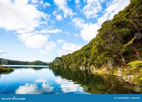 Hot Water Beach On Lake Tarawera Stock Photo Image Of Beach Tarawera 126166698