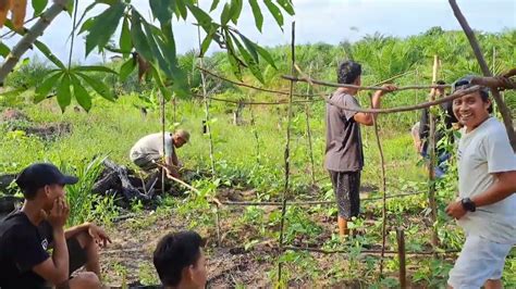 WIRTA KUNIL KUNIL TEAM KASIH SAYANG KENALKAN UBI MALAYSIA DI KEBUN BANG