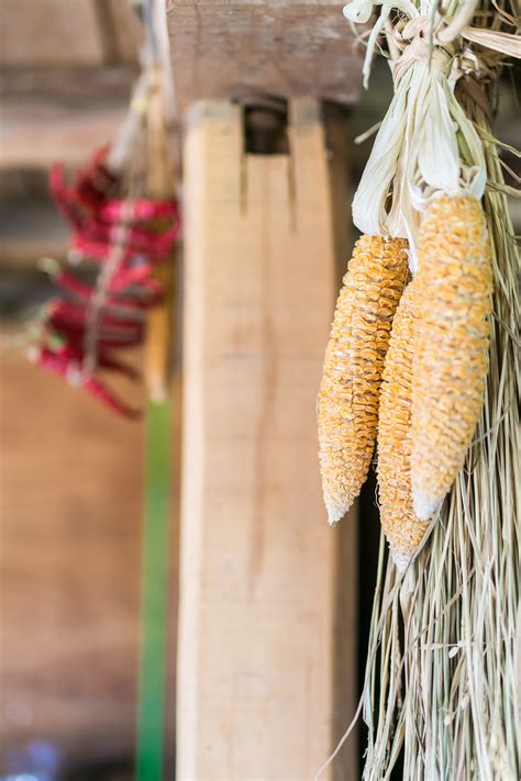 Niseko Area Farm Stay Experience (Day Trip) – Travel Hokkaido