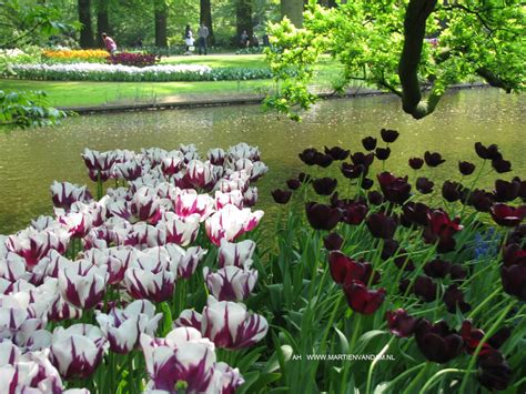 voorjaar ik woon fijn