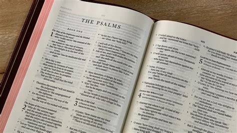 How many times i am in the bible? - The holy script