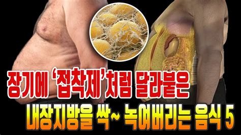 장기에 접착제처럼 달라붙은 내장지방을 싹~ 녹여버리는 음식이 있습니다 지방삭제음식 5 Youtube