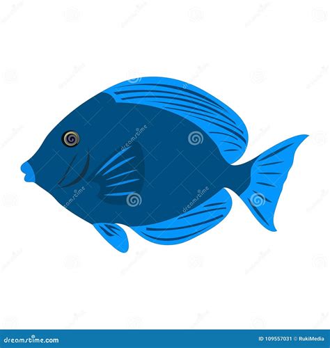 Blue Tang Fish Isolated On White Background Stock Photo | CartoonDealer ...