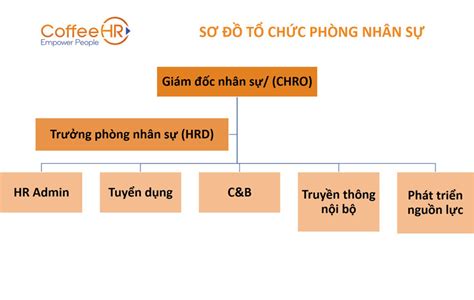 13 Mẫu Sơ đồ Tổ Chức Công Ty Phổ Biến Mới Nhất 2023 Tải Về Eu