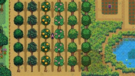 Stardew Valley Best Fruit Trees | Trees to plant, Stardew valley, Fruit ...