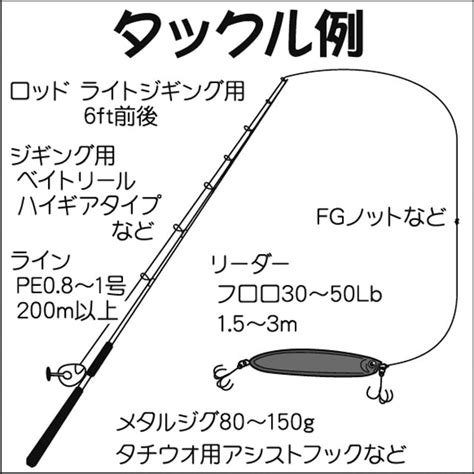 【タチウオジギング攻略のための誘い方】のコツを解説！ : 釣りの楽しみ方