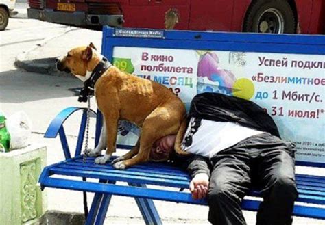 Classic Fuck My Life Examples Pics Izismile