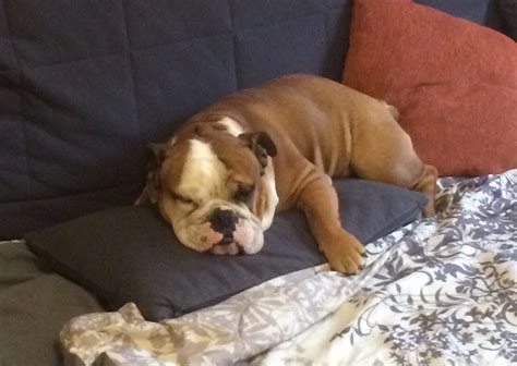 Three, Simple Steps For Keeping Your Website Safe – John Knych