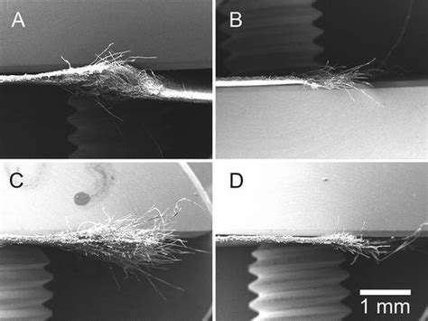 Exemplary Cross Sectional SEM Images Of The Failure Zone Of Calendered