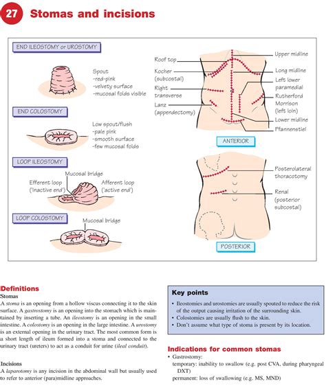 Stomas and Surgical Incisions - Types, Care & Complications
