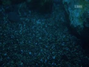 ANNINA WALT Nude AZNude