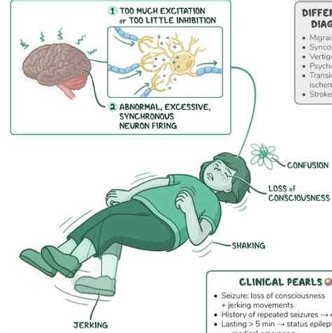 Seizure Flashcards Quizlet