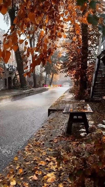 main dhoondne ko zamaane ma song lyricstrending lyrics