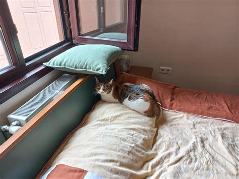 Did your BPD had psychosis? : r/raisedbyborderlines